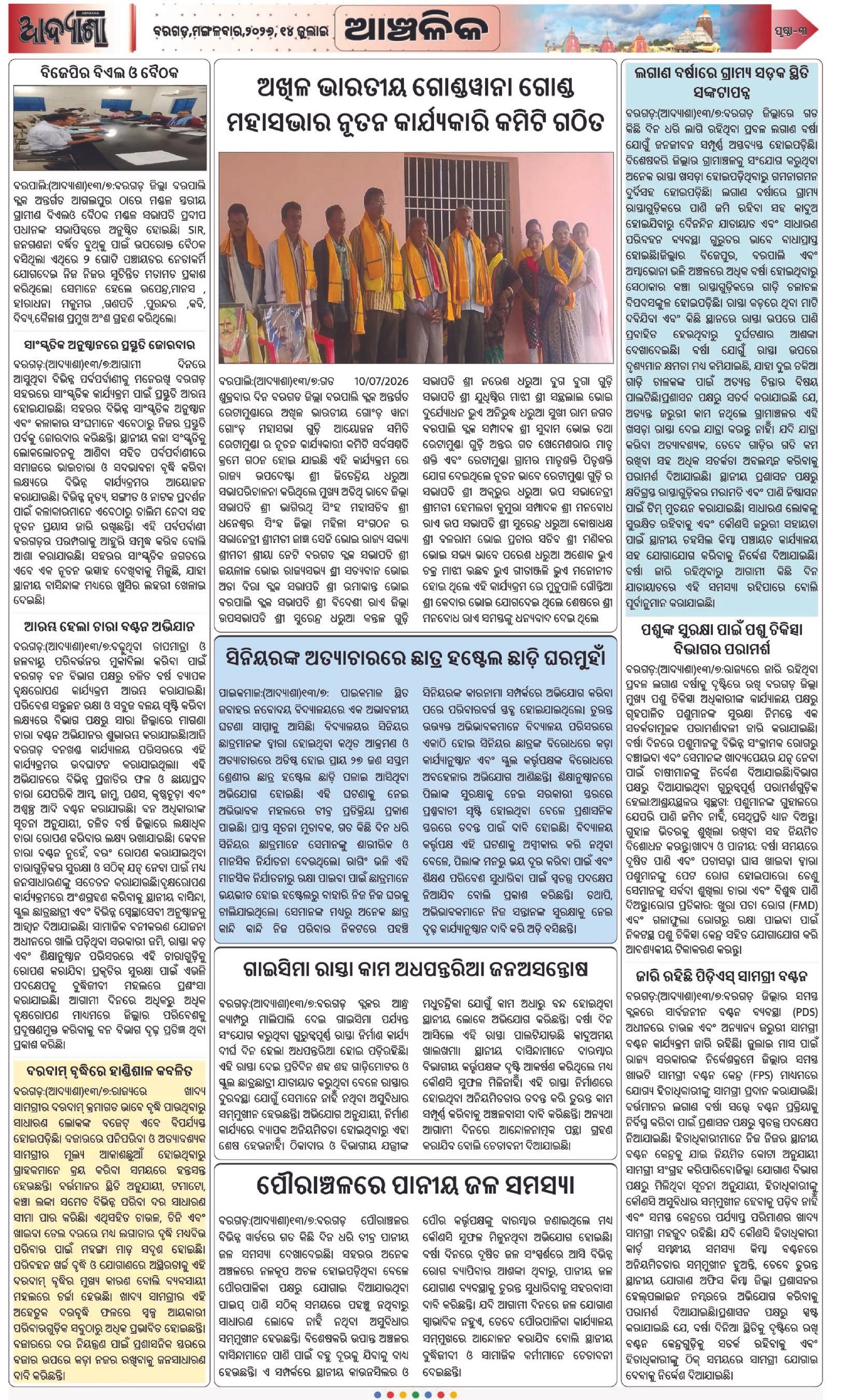 Page 3